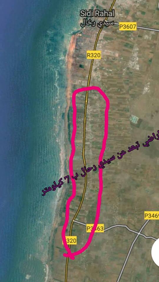 Terrain 1000m2